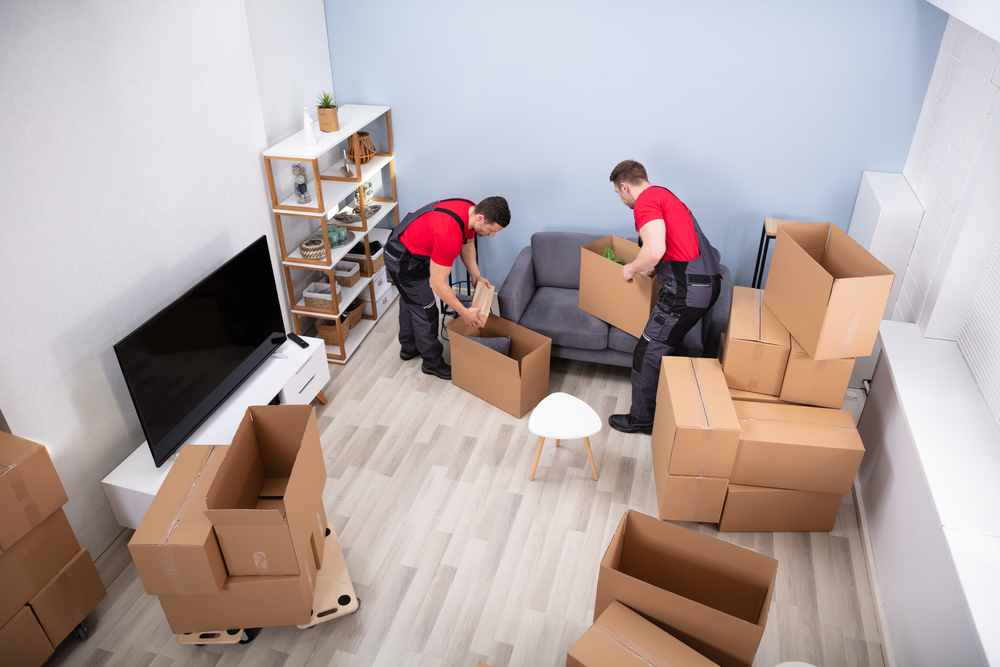 Movers & Packers – Pack Away the Hassle