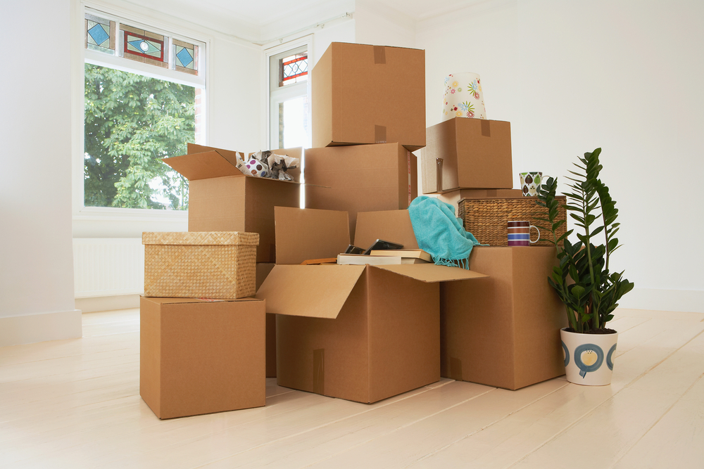 Guarding Your Credit During Your Move