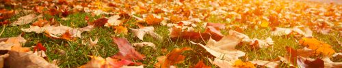 Budget Autumn Home Decorating Tips