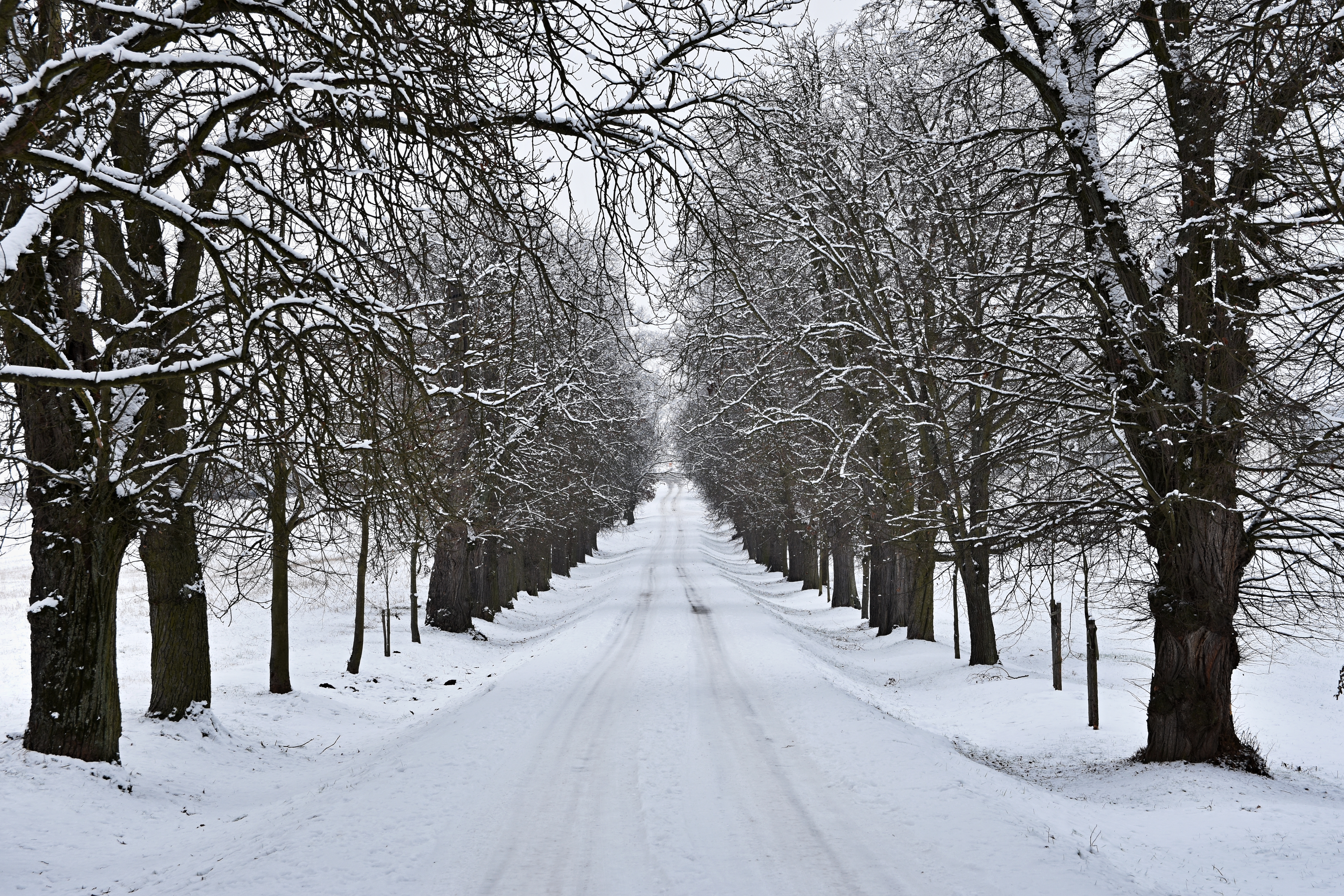 Straße im Winter.  Verschneiter Bergweg für ein Auto.  Konzept für Reisen und sicheres Fahren im Winter mit dem Auto.