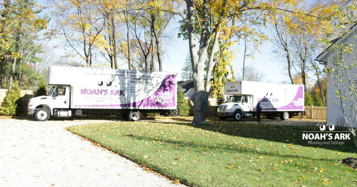 moving7  in Stamford, CT